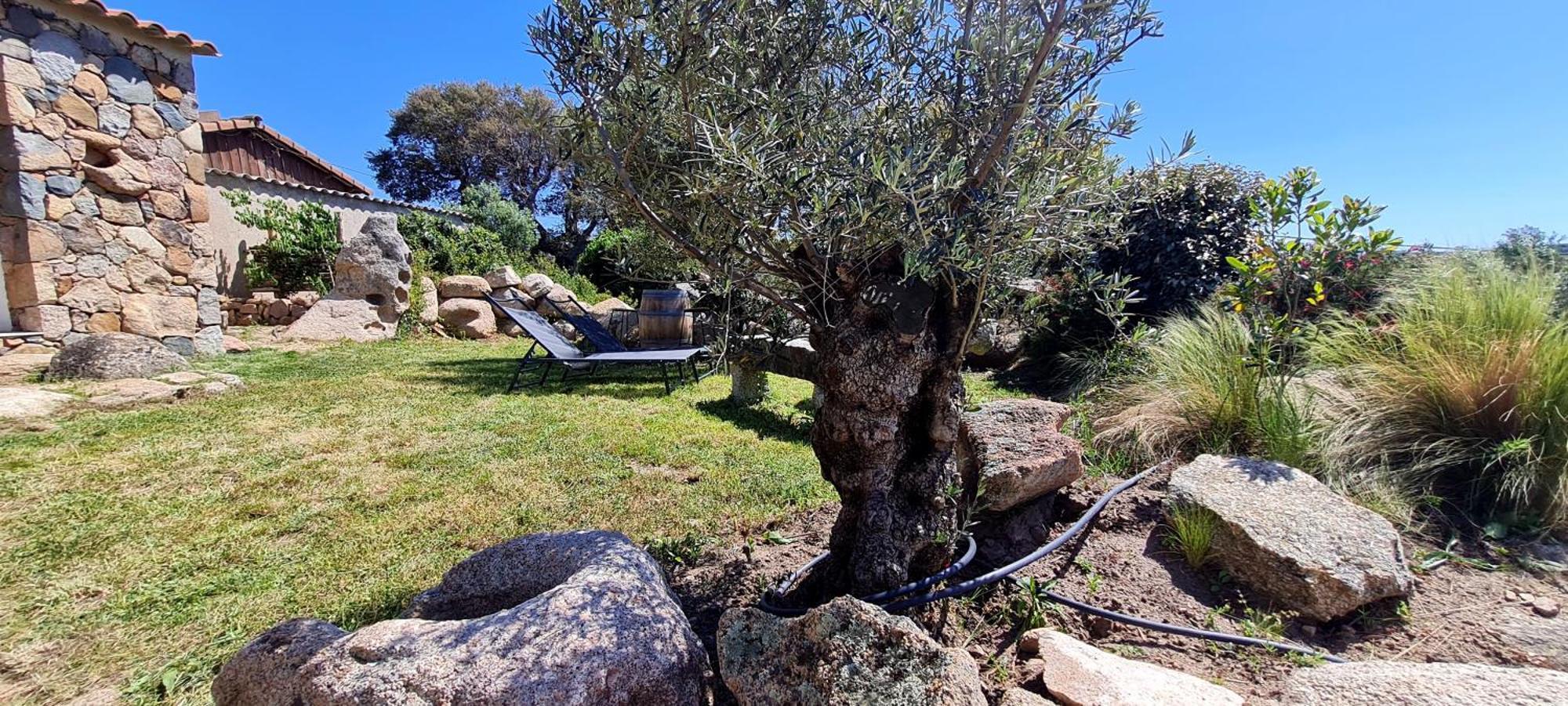 Bergerie A Sapara Pianottoli-Caldarello  Εξωτερικό φωτογραφία