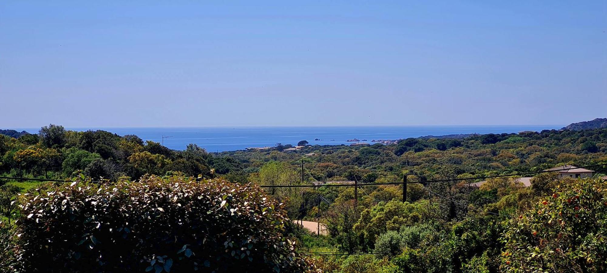 Bergerie A Sapara Pianottoli-Caldarello  Εξωτερικό φωτογραφία